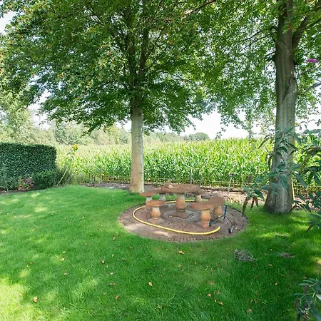 47, Betoverend Oisterwijkse Bosverblijf ~ Uitzicht *