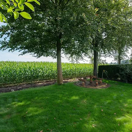 Chalet 47, Betoverend Oisterwijkse Bosverblijf ~ Uitzicht *