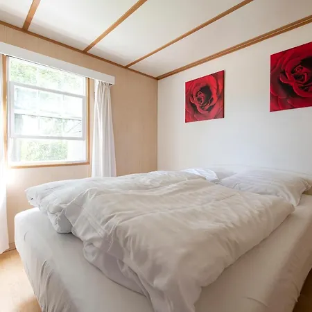 47, Betoverend Oisterwijkse Bosverblijf ~ Uitzicht 木屋